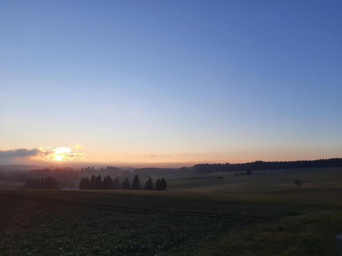 Schwarzwaldblick 1-Zimmer Appartement Loffingen Bagian luar foto